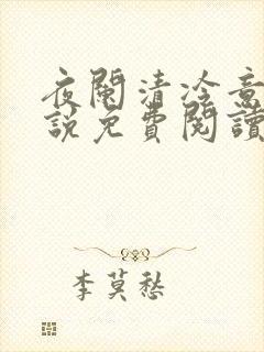 夜阑清冷意欢小说免费阅读