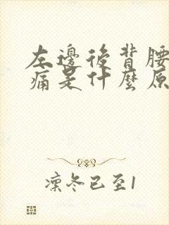 左边后背腰部疼痛是什么原因封面