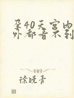 孕40天宫内宫外都看不到孕囊封面