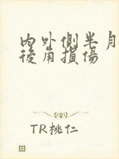内外侧半月板前后角损伤