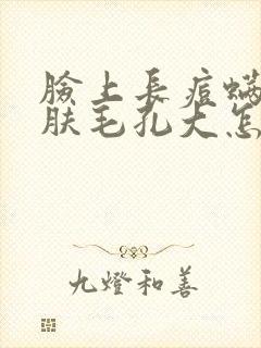 脸上长痘螨虫皮肤毛孔大怎么回事