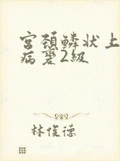 宫颈鳞状上皮内病变2级