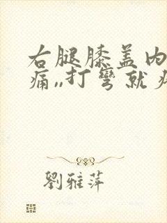 右腿膝盖内侧疼痛,,打弯就疼,为什么