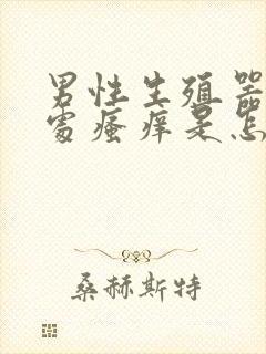 男性生殖器阴毛处瘙痒是怎么回事