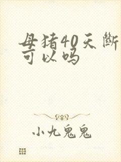 母猪40天断奶可以吗