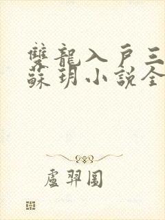 双龙入户三人行苏玥小说全文阅读