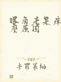 眼角老是痒是什么原因