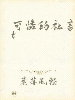 可怜的社畜txt