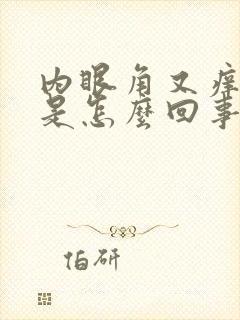 内眼角又痒又疼是怎么回事封面