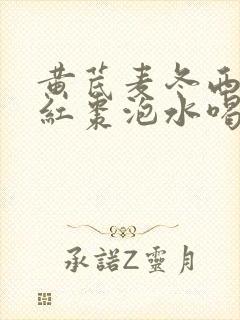 黄芪麦冬西洋参红枣泡水喝的功效