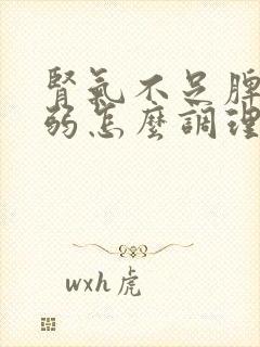 肾气不足脾胃虚弱怎么调理