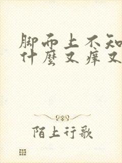 脚面上不知道为什么又痒又肿