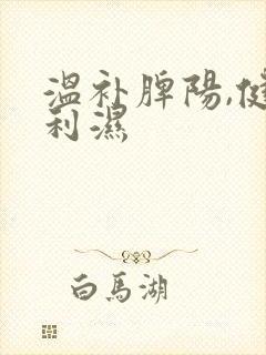 温补脾阳,健脾利湿