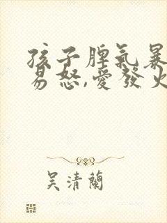 孩子脾气暴躁,易怒,爱发火是什么原因
