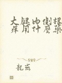 大腿内侧根部瘙痒用什么药