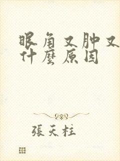 眼角又肿又痒是什么原因