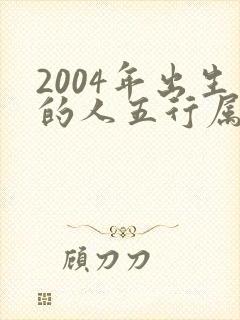 2004年出生的人五行属什么命