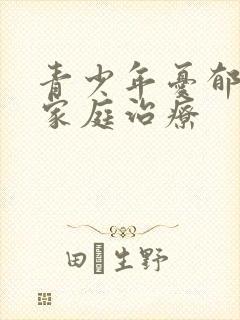 青少年忧郁症的家庭治疗封面