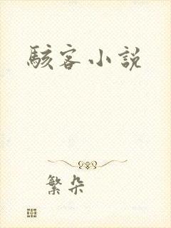 骇客小说