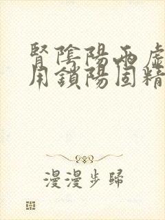 肾阴阳两虚可以用锁阳固精丸吗