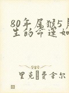 80年属猴5月生的命运如何