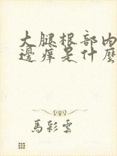 大腿根部内侧两边痒是什么原因封面