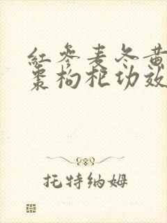 红参麦冬黄芪红枣枸杞功效与作用及食用方法