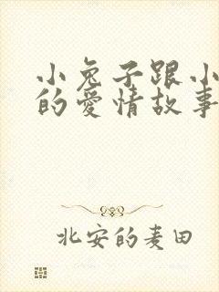 小兔子跟小狐狸的爱情故事封面