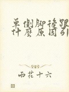 单侧脚后跟疼是什么原因引起的封面
