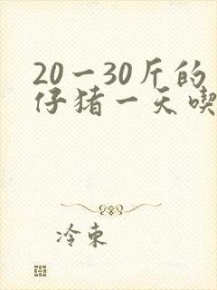 20一30斤的仔猪一天吃多少料