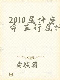 2010属什么命 五行属什么