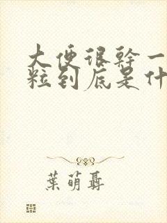 大便很干一粒一粒到底是什么回事