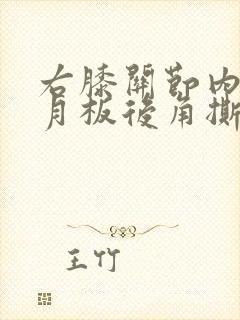 右膝关节内侧半月板后角撕裂损伤