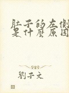 肚子的左侧疼痛是什么原因封面