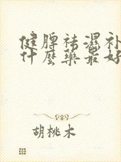 健脾祛湿补肾吃什么药最好封面