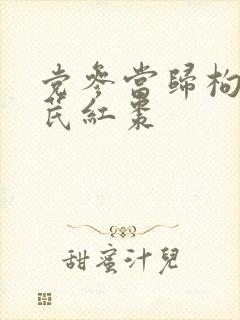 党参当归枸杞黄芪红枣封面