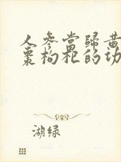 人参当归黄芪红枣枸杞的功效与作用