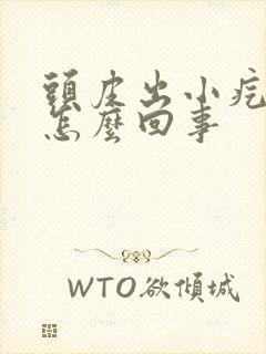 头皮出小疙瘩是怎么回事封面
