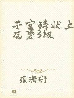 子宫鳞状上皮内病变3级