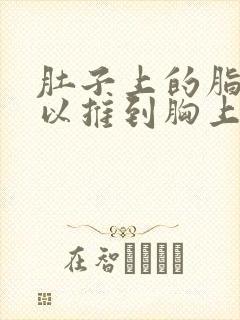 肚子上的脂肪可以推到胸上吗