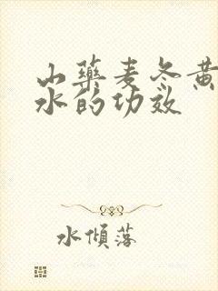 山药麦冬黄芪煮水的功效