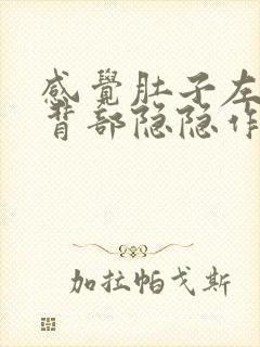 感觉肚子左侧和背部隐隐作痛封面