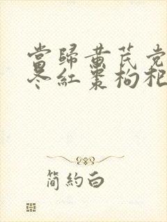 当归黄芪党参麦冬红枣枸杞