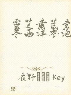 灵芝黄芪党参麦冬西洋参泡水喝的功效与作用