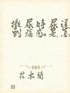 撒尿时尿道口有刺痛感是怎么回事