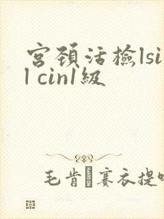 宫颈活检lsil cin1级
