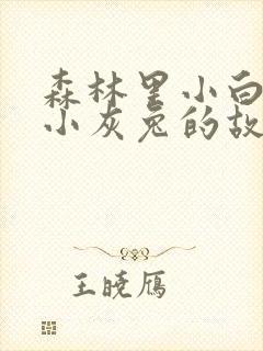森林里小白兔和小灰兔的故事封面