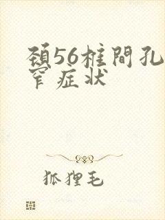 颈56椎间孔狭窄症状