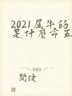2021属牛的是什么命五行属什么