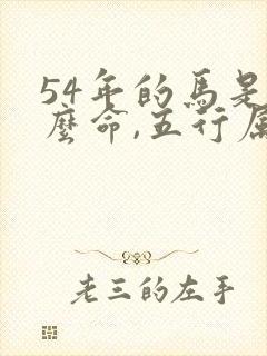 54年的马是什么命,五行属性